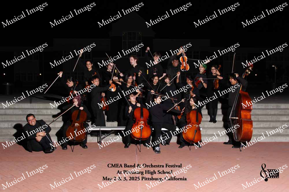 Musical Images